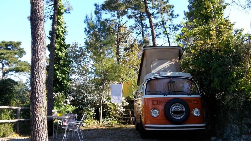 Camping La Pineta — Foto 5
