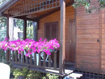 Location - Bungalow Avec Douche - Camping La Pineta