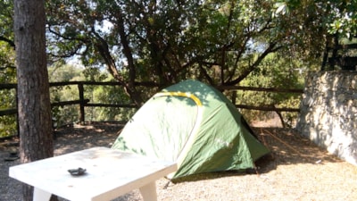 Pitch (small tent) + car in the parking. Terraced campsite. — 4