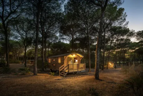 Location - Lodge Vue Lac - image n°2 - Camping Vieille Église