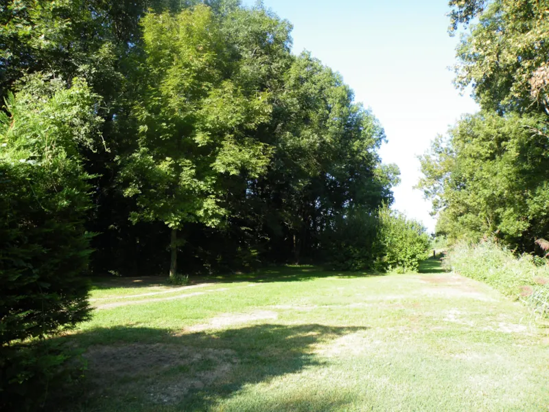 Forfait 1 Personne, Avec Électricité, 1 Emplacement + Tente/ Caravane + 1 Voiture