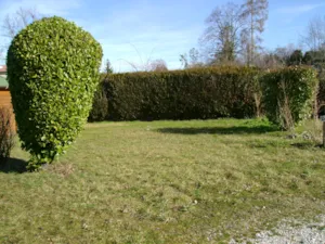 Emplacement - Emplacement + véhicule - Camping La Renouillère