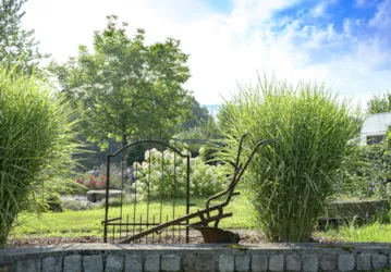 Nibelungen-Camping Am Schwimmbad - image n°2 - Camping Direct