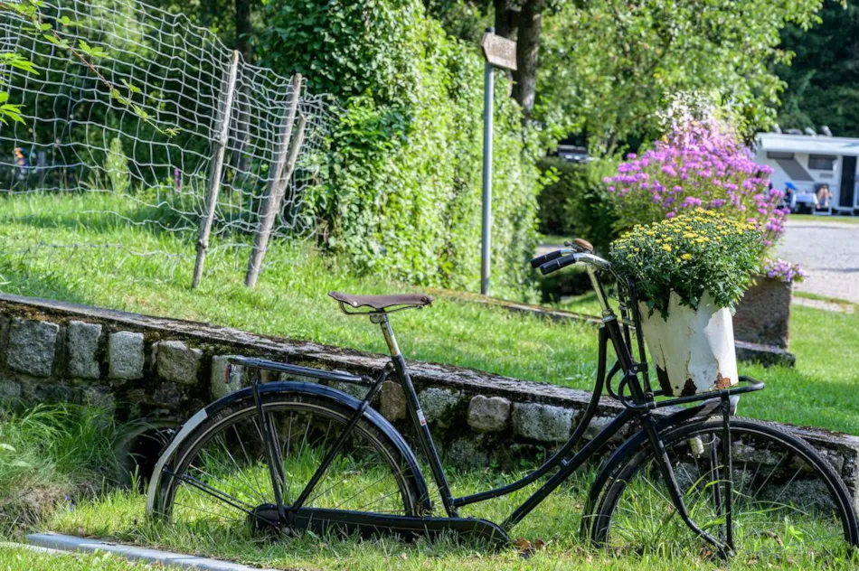 Nibelungen-Camping Am Schwimmbad