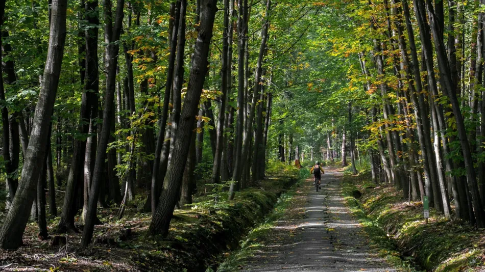 Nibelungen-Camping Am Schwimmbad