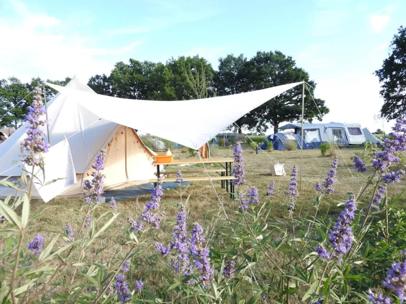 Forfait Emplacement Premium (2 Personnes + 1 Véhicule Inclus)