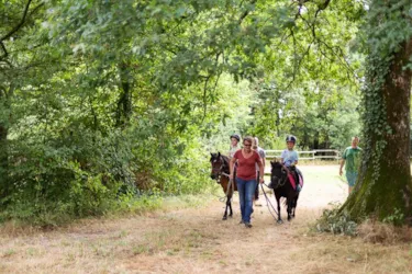 Domaine de l'Oiselière - image n°2 - Camping Direct