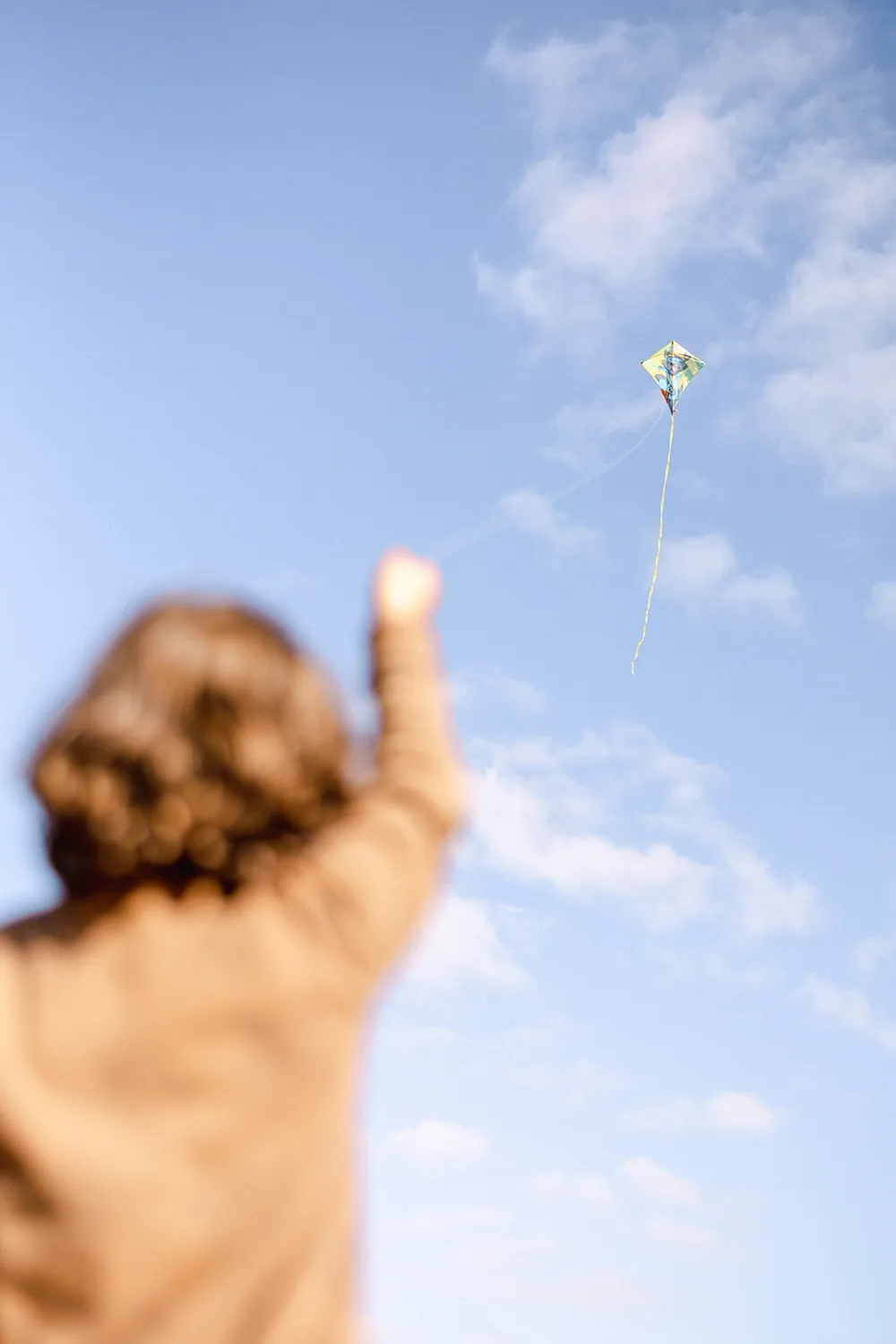 Domaine de l'Oiselière