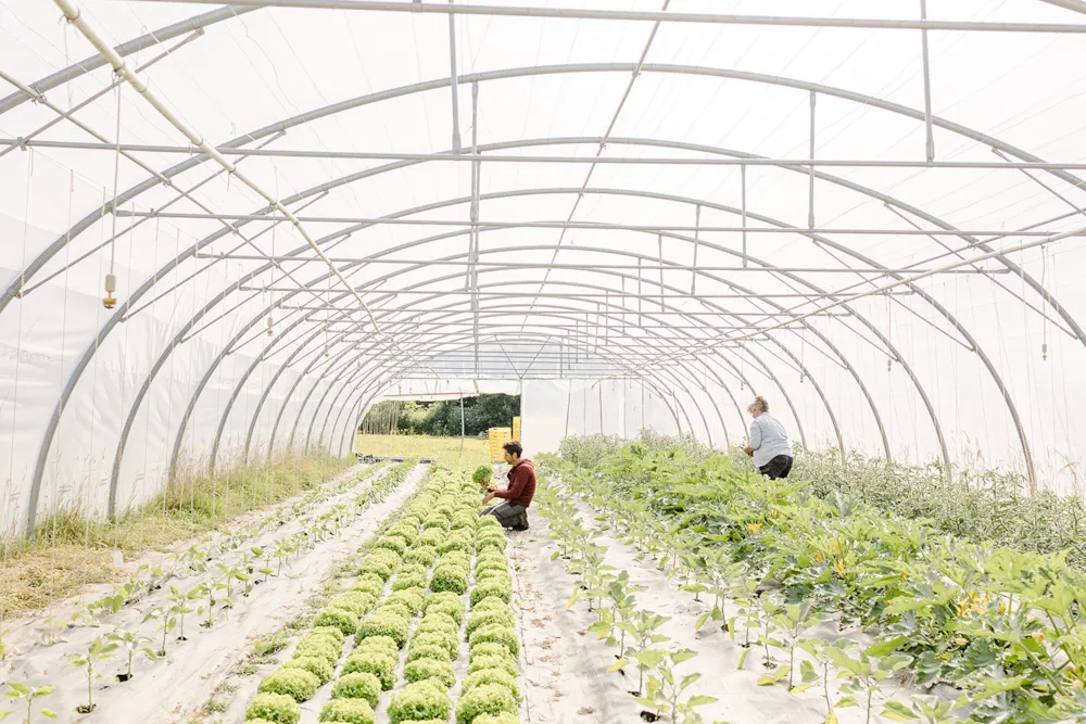 Domaine de l'Oiselière