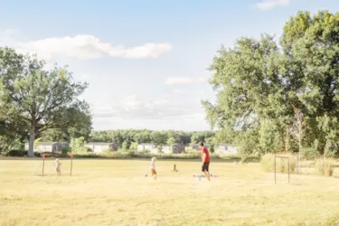 Domaine de l'Oiselière - image n°3 - Camping Direct