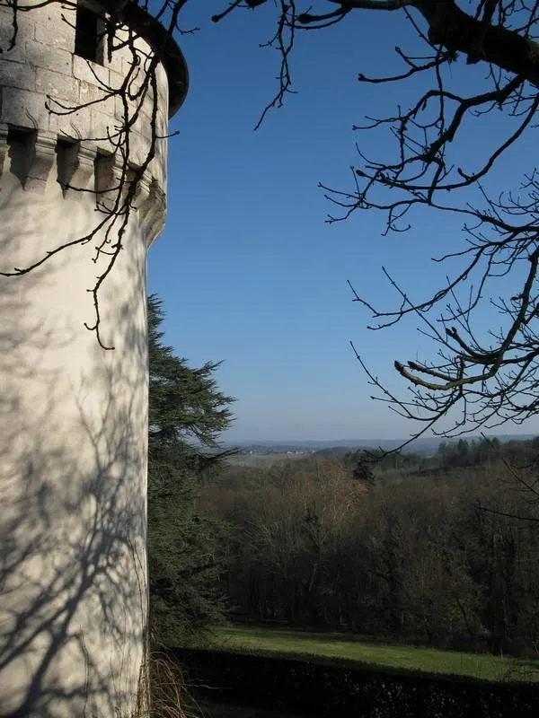 Le Bois du Coderc - image n°40 - UniversalBooking