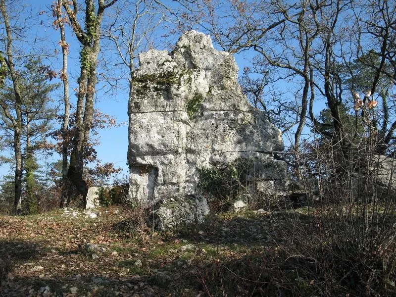 Le Bois du Coderc - image n°41 - UniversalBooking