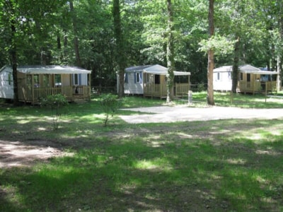 Mobil-home SUPER RIVIERA 2012 per week or Overnight stays