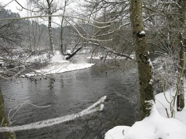 Le Bois du Coderc - image n°13 - UniversalBooking