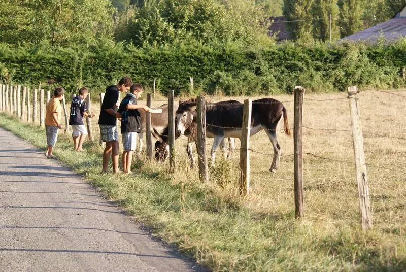 Le Bois du Coderc - image n°34 - UniversalBooking