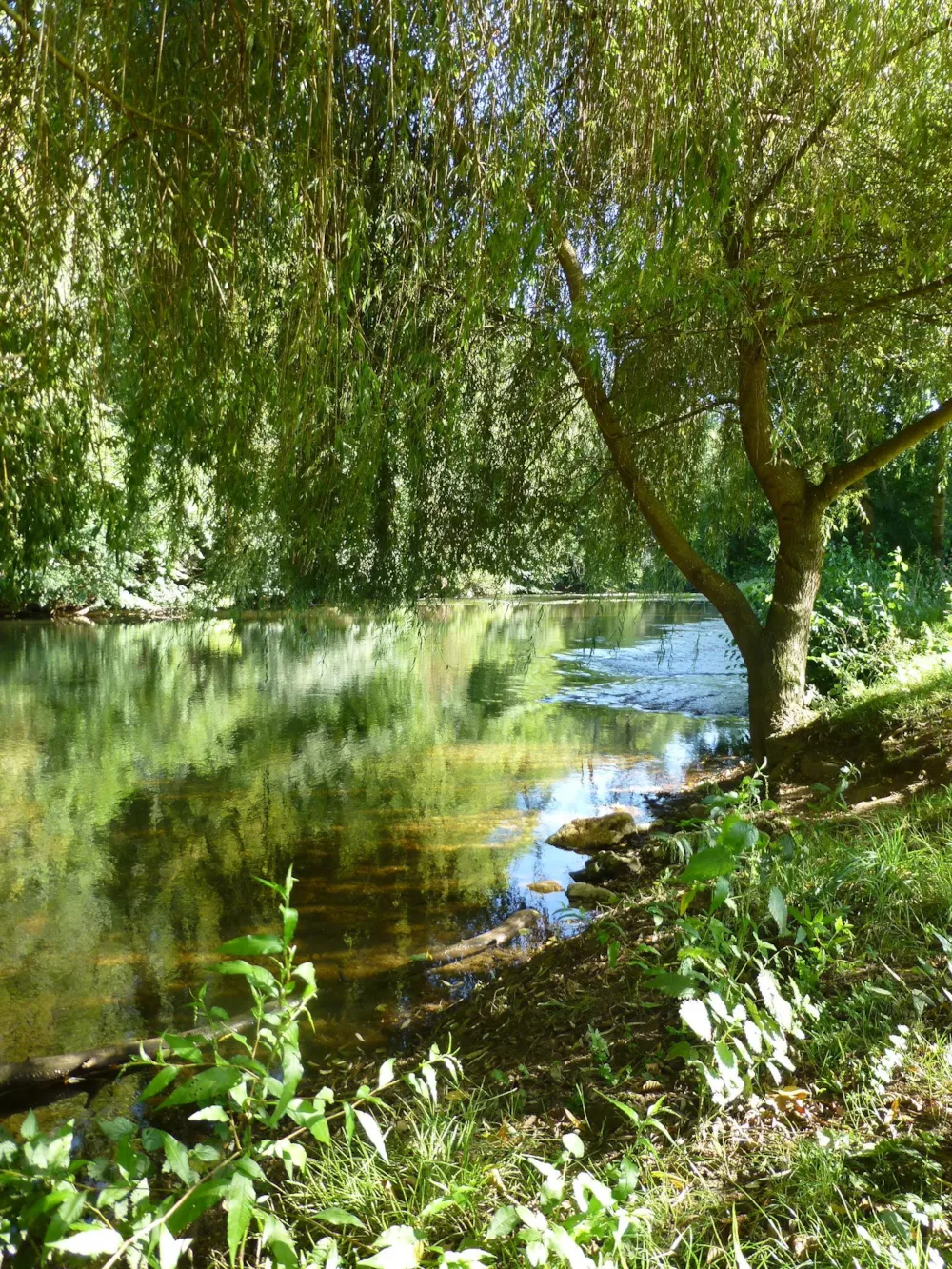 Le Bois du Coderc - image n°14 - UniversalBooking