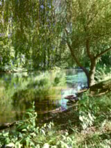 Foto #14 van Le Bois du Coderc