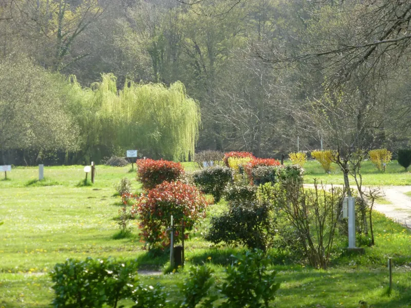 Emplacement Tente/Caravane/Camping Car + 1 Personne (Électricité En Option)