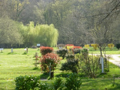 Pitch + 1 car + tent, caravan or camping-car (electricity optional)