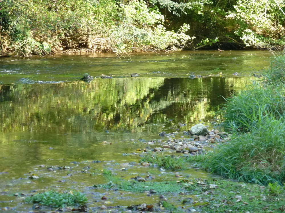 Le Bois du Coderc - image n°15 - UniversalBooking