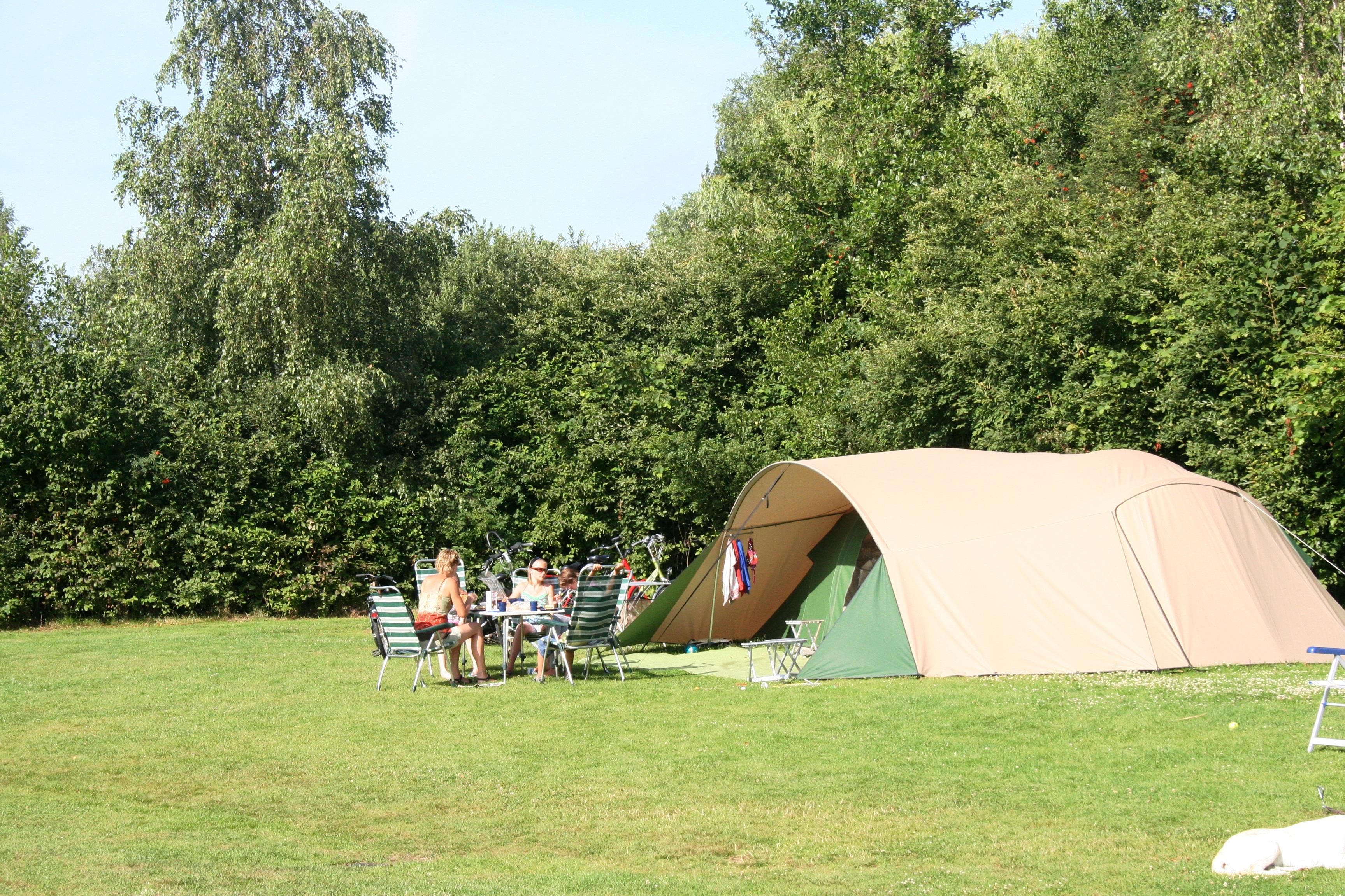 Emplacement - Emplacement Standard - Ardoer Camping It Wiid