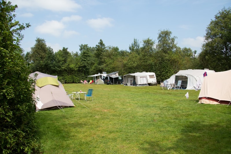Ardoer Camping It Wiid - Photo 3