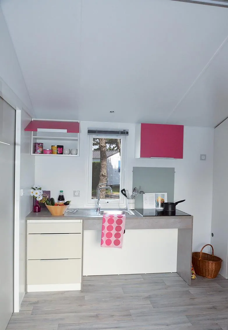 1- Pmr Ibiza Duo 31 M²