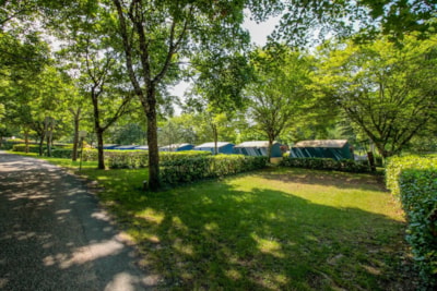 Camping La Draille