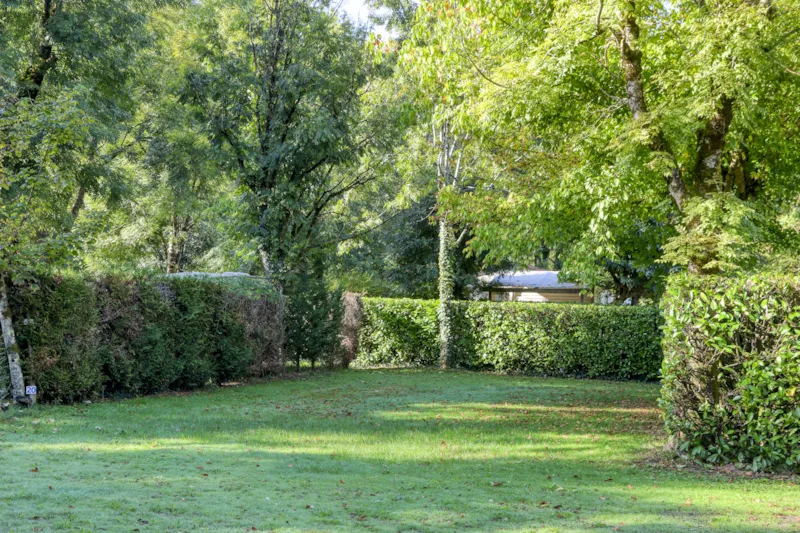 Emplacement Une Personne Avec Électricité