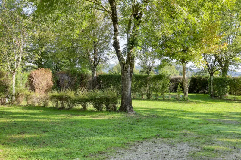 Emplacement Une Personne Avec Électricité