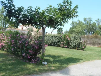 Stellplatz - Stellplatz + Strom - Chadotel Le Roussillon