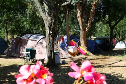 Piazzola Con Elettricità