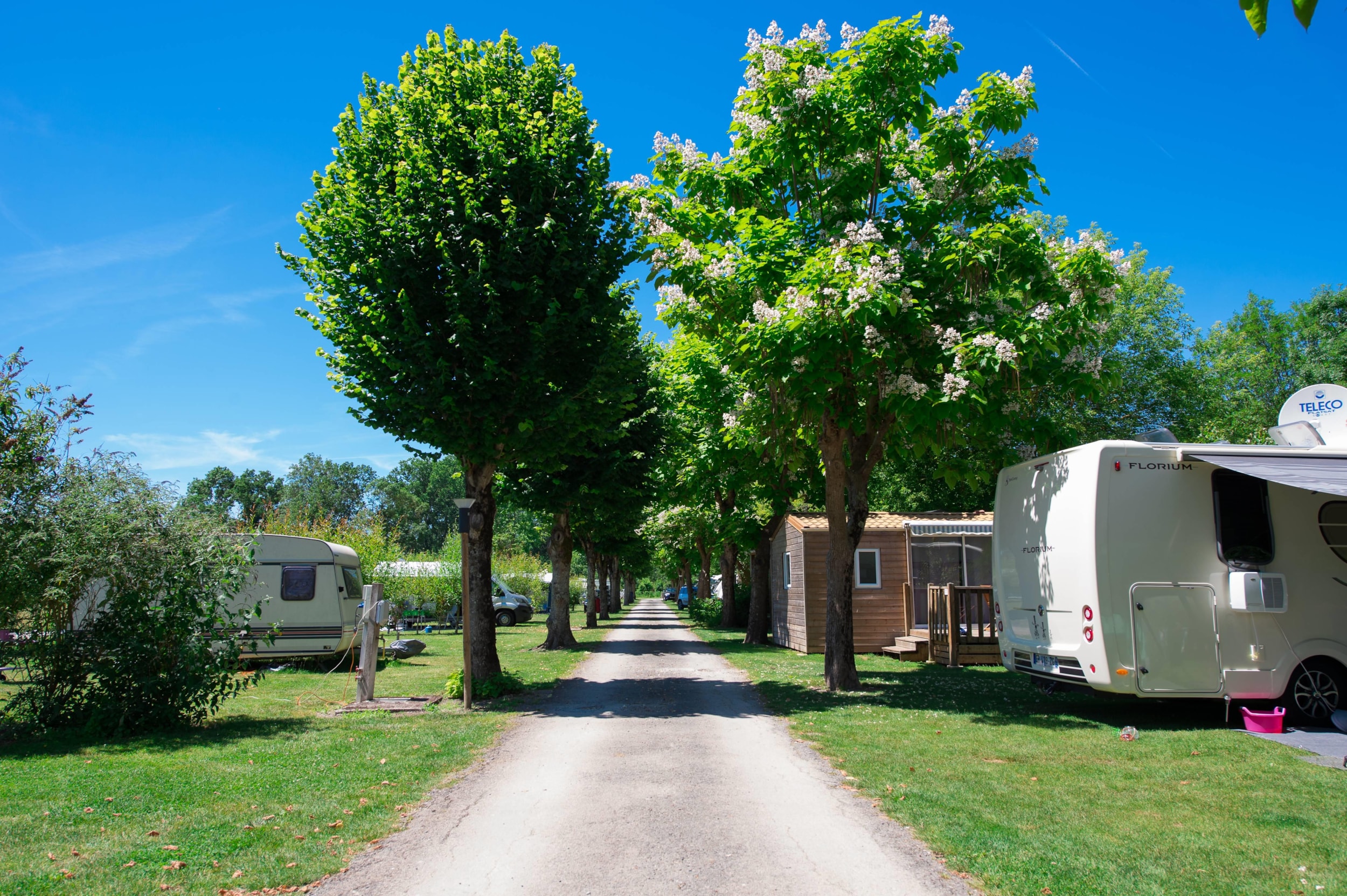 Camping La Venise Verte — Photo 5