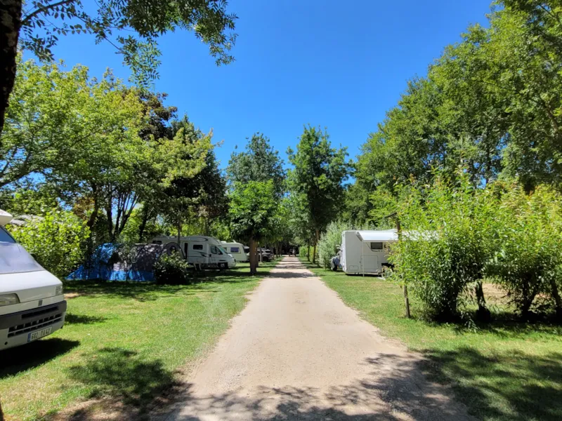 Forfait Confort (2 Pers/1 Tente,Caravane Ou Cc/1 Voiture+Eau+Élec 10A) 80 À 120 M²