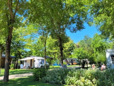 Privilege XL Package (1 tent, caravan or motorhome / 1 car / water + electricity 10A) 140 à 180m²