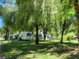 Foto #4 van Camping La Venise Verte