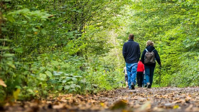 Camping La Venise Verte