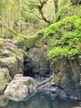 Foto #55 van Camping La Venise Verte