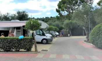 Stellplatz - Stellplatz Für Wohnwagen/Wohnmobil Area A + Strom - Camping Edy