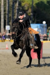 Foto #19 van Il Villaggio di Giuele – Eurocamping Calvisio