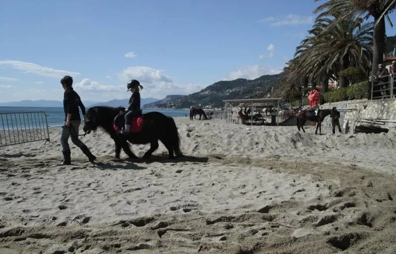 Il Villaggio di Giuele - Eurocamping Calvisio