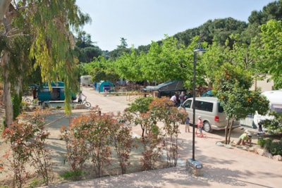 Il Villaggio di Giuele - Eurocamping Calvisio