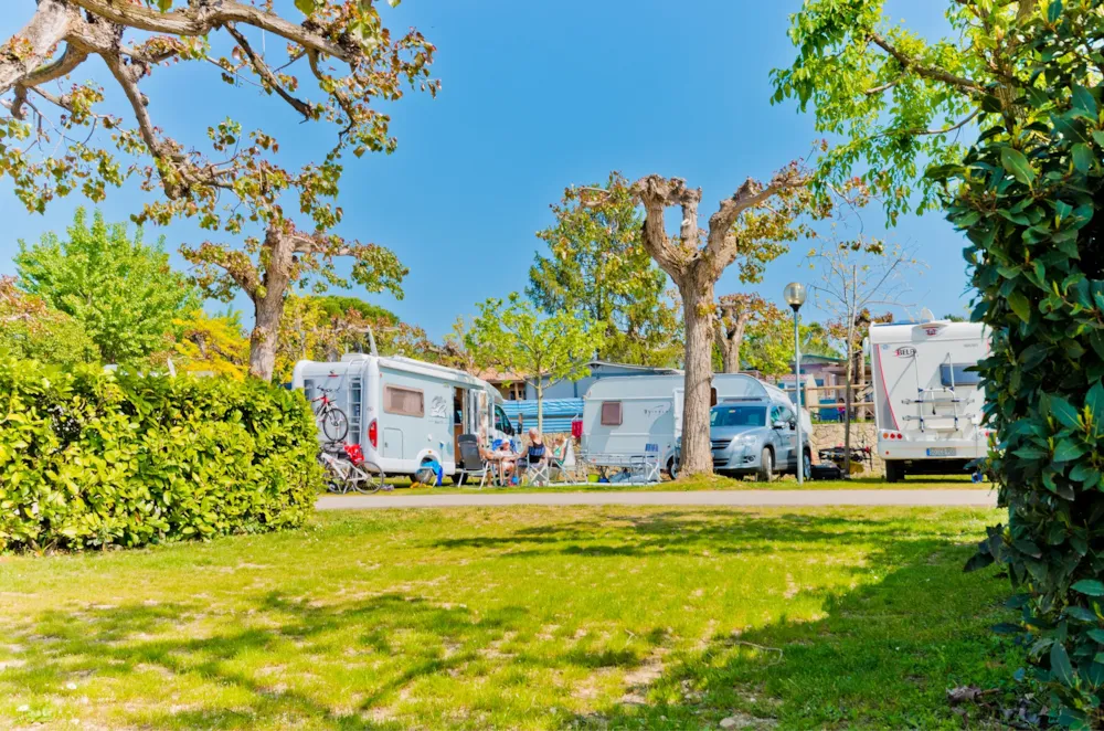 Emplacement - Standard Pitch 3°/4° Row + 1 Car + Tent , Caravan Or Camping-Car - Camping Le Palme
