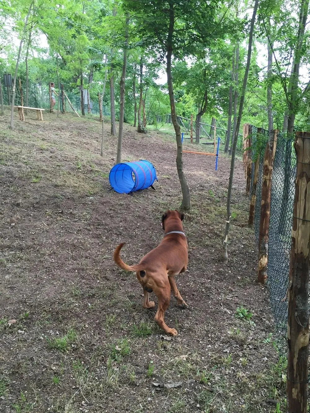 Camping Siena Colleverde - image n°14 - UniversalBooking