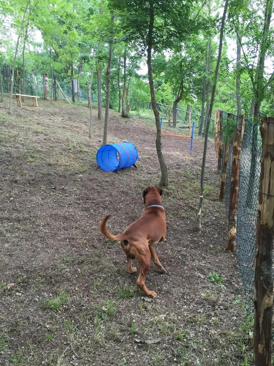 Camping Siena Colleverde