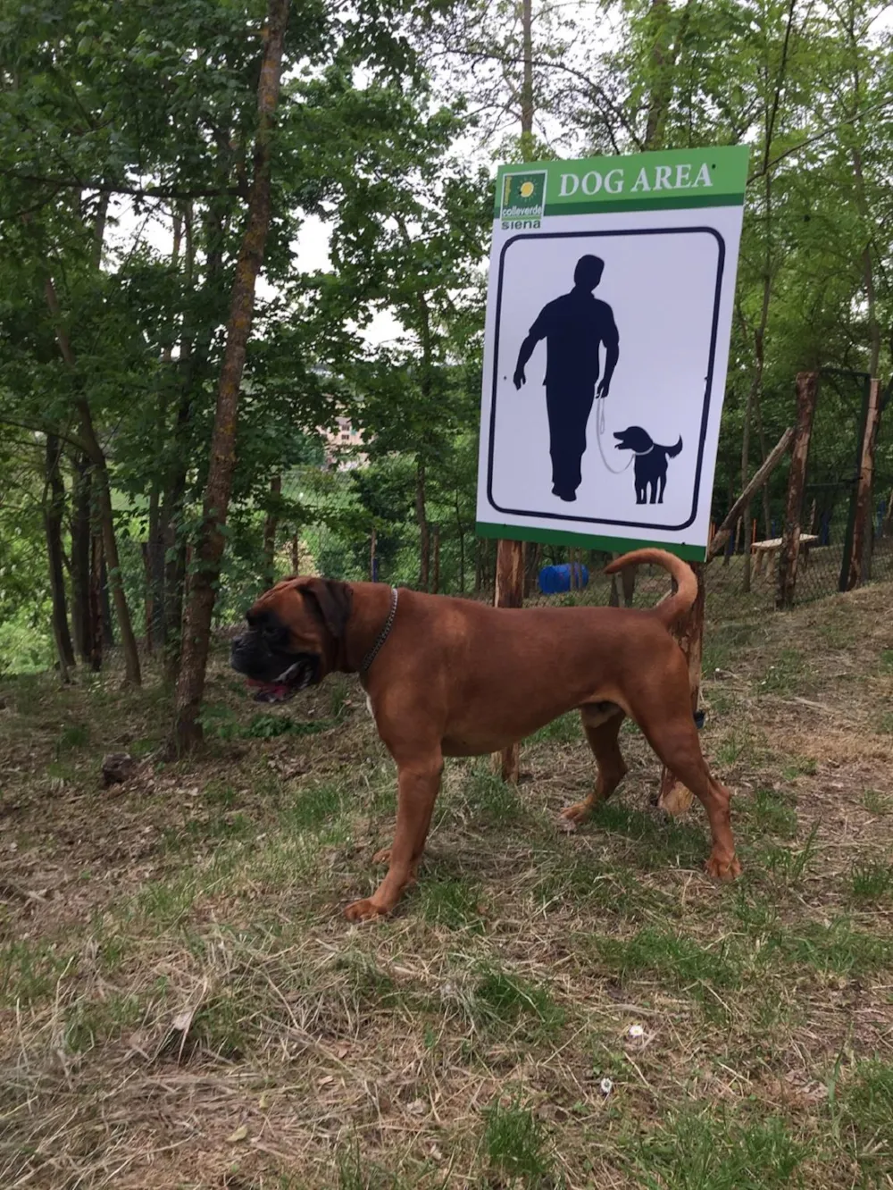 Camping Siena Colleverde - image n°16 - UniversalBooking