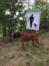 Foto #16 van Camping Siena Colleverde