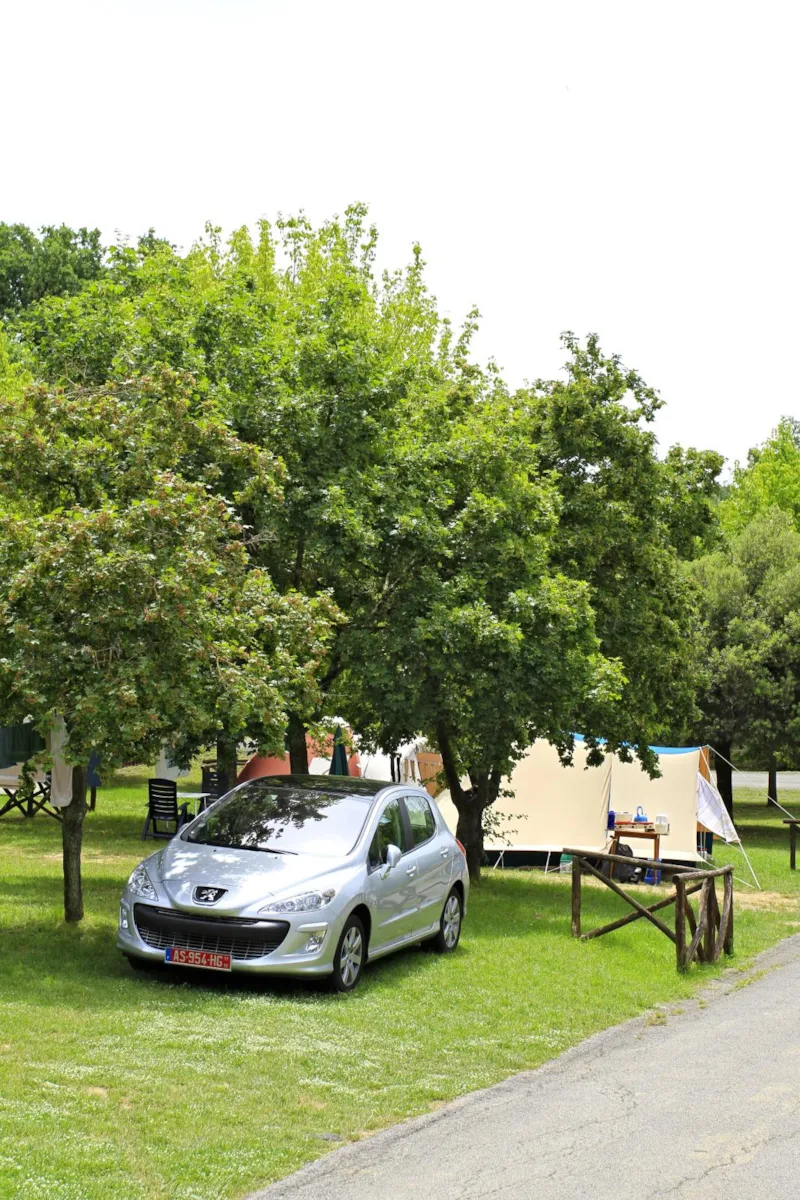 Pitch With Tent And Car