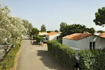 Huuraccommodatie(s) - Bungalow Standard 31M² (2 Kamers) - Flower Camping Les Ilates