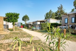 Flower Camping Les Ilates - image n°5 - Roulottes